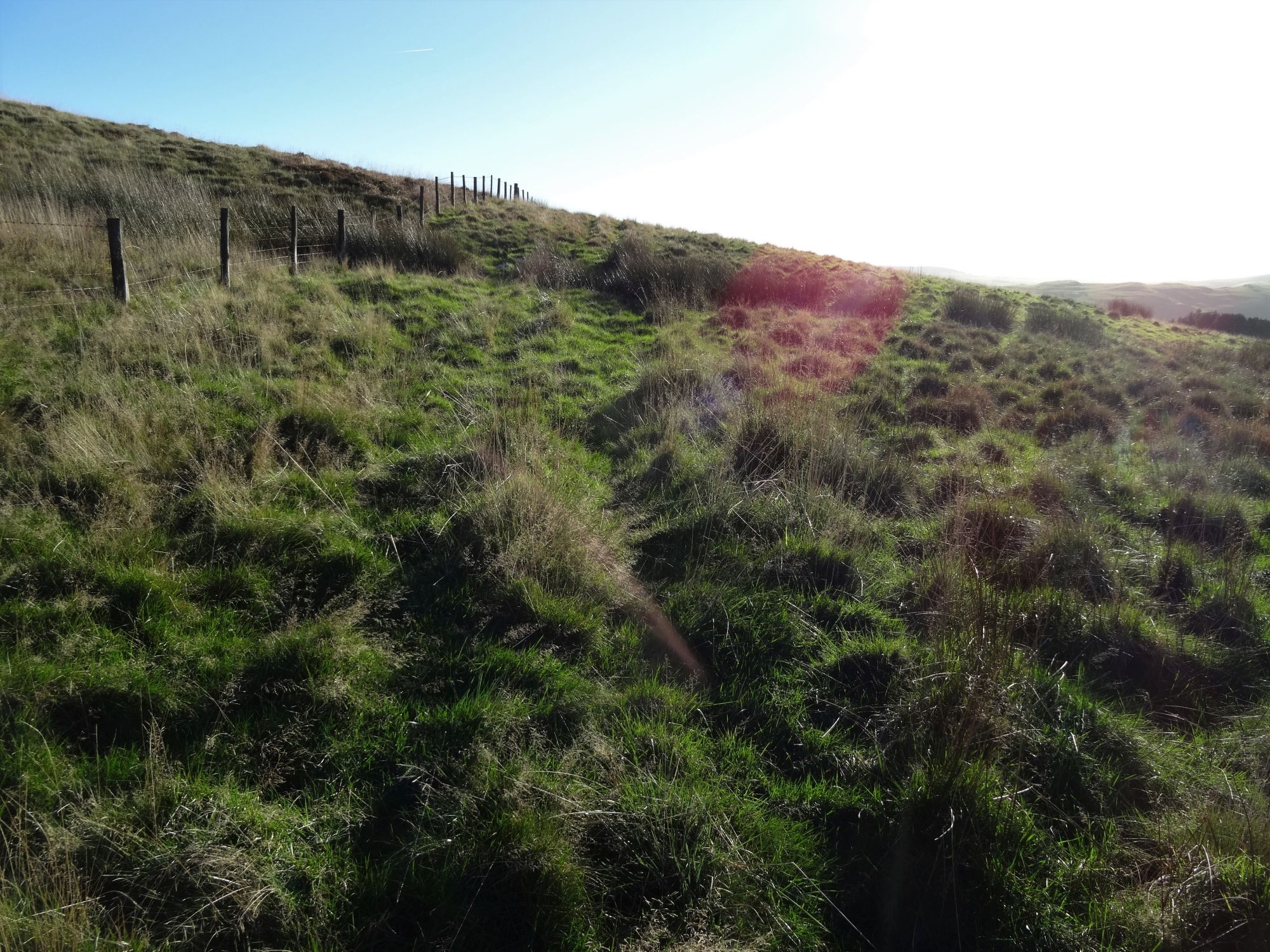 RachelSeabrook.net | Wild Walking | Moel y Llyn | pic29